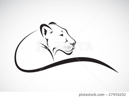 Vector of a lion female design on white background 27458202