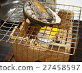 鮑魚舞燒烤 27458597