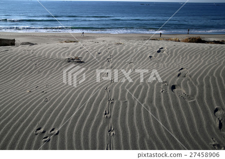 來來往往海岸的腳印 27458906