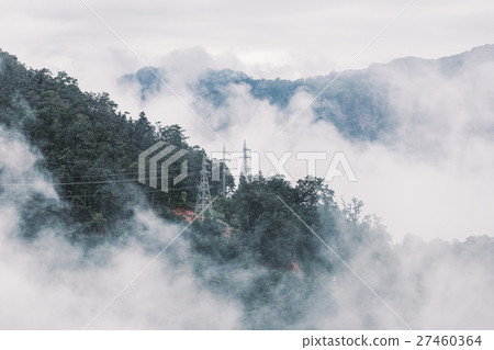 Foggy scene of tropical forest mountain Foggy scene of tropical forest mountain 27460364