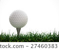 Golf ball  with tee in the grass 27460383
