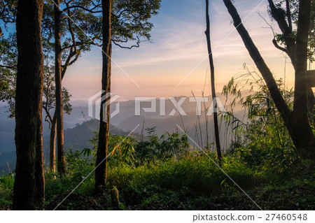 Scenic forest sunrise hill at national park 27460548