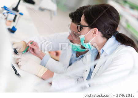 Busy young stomatology students working carefully Busy young stomatology students working carefully 27461013