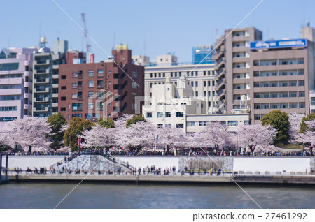 Sakura (special technique, miniature style, diorama style, reverse aori) 27461292