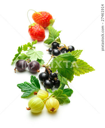 Fresh black currant, gooseberry and strawberry 27461914
