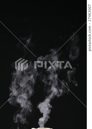 steam steam 27463007