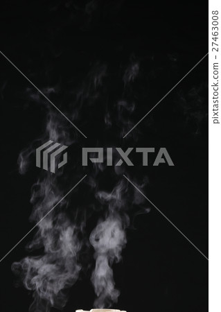 steam steam 27463008