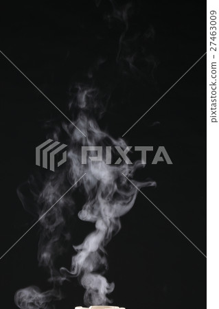 steam steam 27463009