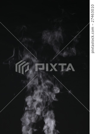 steam steam 27463010