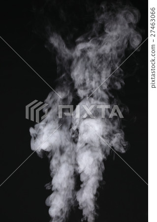 steam steam 27463066