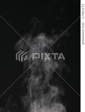 steam 27463255