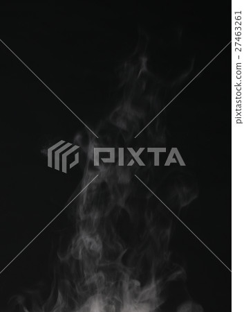 steam 27463261