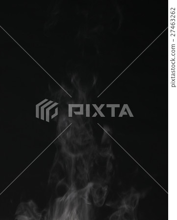 steam 27463262