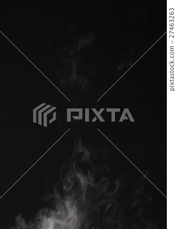 steam 27463263