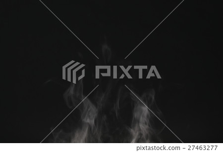 steam 27463277
