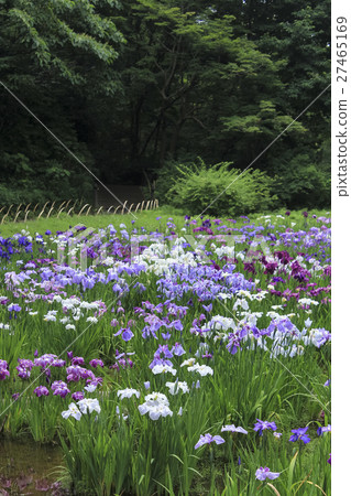 Meiji Shrine Imperial Garden Tokyo 27465169