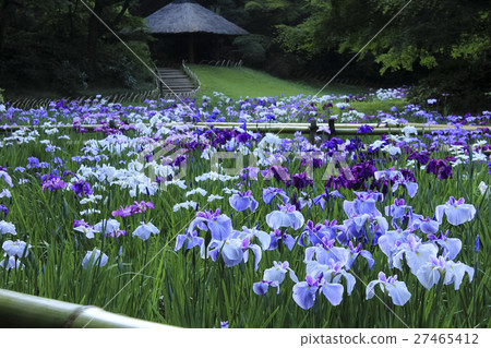 Meiji Shrine Imperial Garden Tokyo 27465412