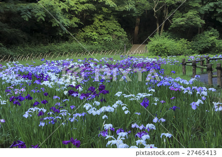Meiji Shrine Imperial Garden Tokyo 27465413