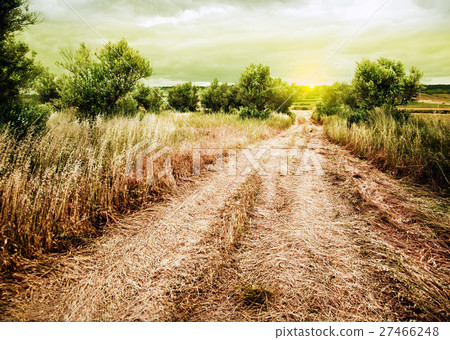 rural road landscape rural road landscape 27466248