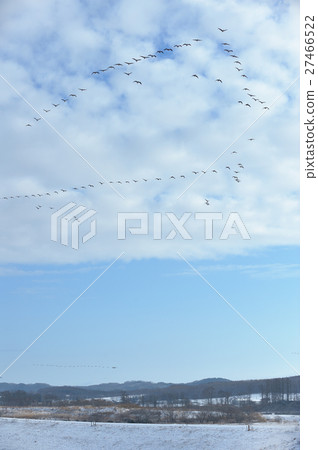 馬甘的穿越 27466522