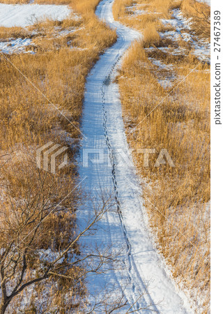 Public park with white snow 27467389