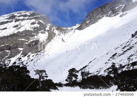 雪山盛雪 雪山盛雪 27468006
