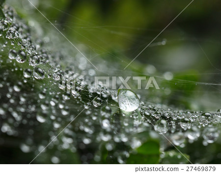 Bright drop Bright drop 27469879