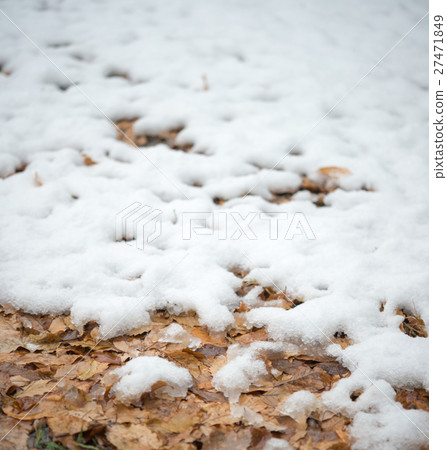 雪和落葉 雪和落葉 27471849