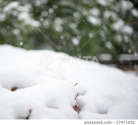 雪の風景 雪の風景 27471850