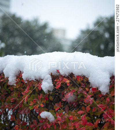 雪の風景 27471982