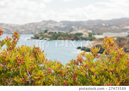 A landscape with sea view A landscape with sea view 27473589