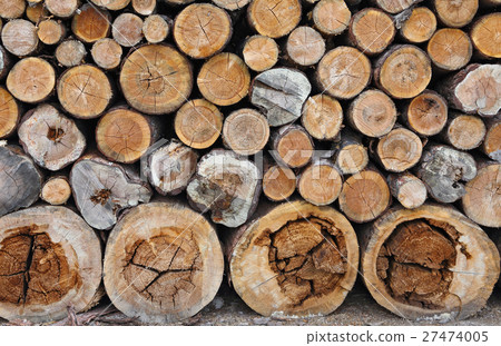 Pile of dry wood 27474005