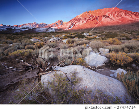 Buttermilk Hill in Bishop California Buttermilk Hill in Bishop California 27474714