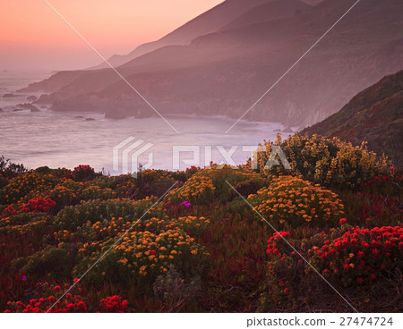 Garrapata State Beach 27474724