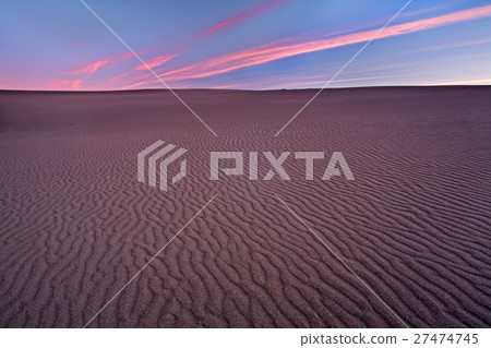 Coastal Dunes, California 27474745
