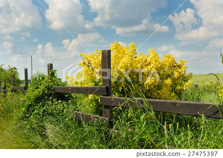 Country Timber Fence Country Timber Fence 27475397