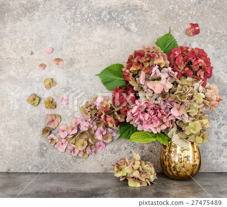 Hortensia flowers bouquet grungy stone background Hortensia flowers bouquet grungy stone background 27475489