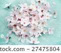 櫻花 27475804
