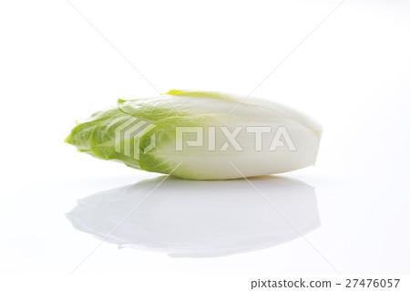 Chicory 1 27476057