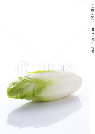 Chicory 3 27476059