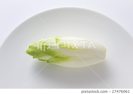 Chicory 5 27476061