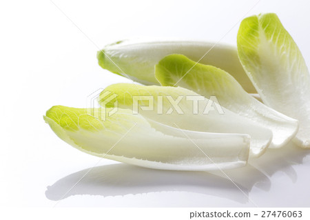 Chicory 7 Chicory 7 27476063