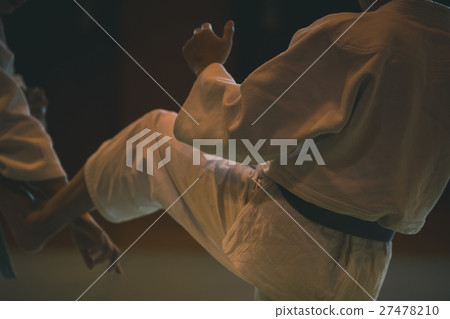 空手道 空的手 武術 27478210