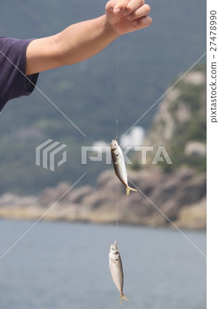 Fish paste Fish paste 27478990