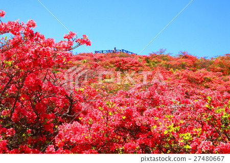 Azalea Takashiyama (Tamura-shi, Ono-machi) 27480667