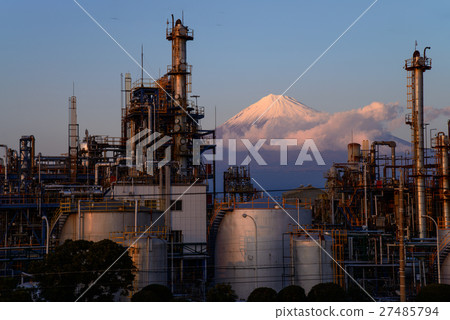 Mt. Fuji over plant plant 27485794