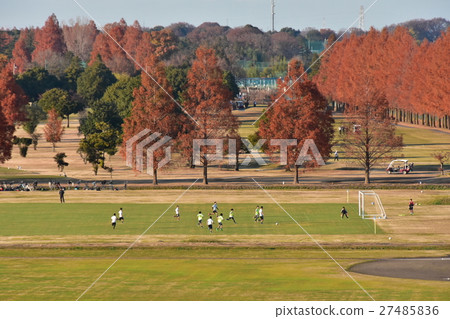 Football  27485836