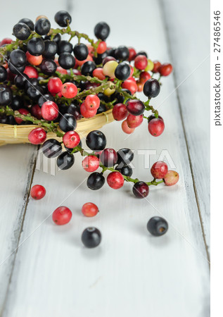 Thai Blueberry fruits 27486546