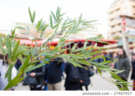Bamboo blossoms on the 10th Bamboo blossoms on the 10th 27487457
