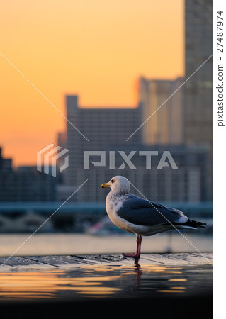 Tokyo evening landscape · Harumi (93) 27487974